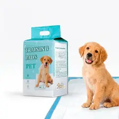 GENERICO - Pañales de Piso Absorbentes 60X60 - Training Pads Pet