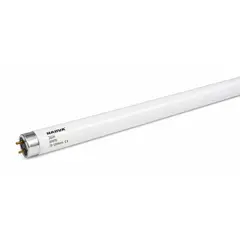 GENERICO - Tubo Fluorescente blanco 120CM