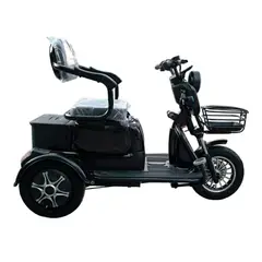 Box Bike - Trimoto Box Convertible YAPU