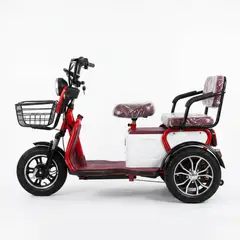 Box Bike - Trimoto Box Convertible YAPU