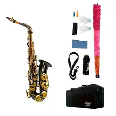 GENERICO - Saxo Alto Villegas Special Negro con Estuche Rigido y Accesorios Completos