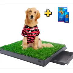GENERICO - Baño Ecológico Portátil Grande con grass lavable