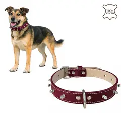 PERRY JHAN - Correa Collar Para Mascotas de Cuero con Puas - Talla XL Rojo Vino