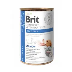 BRIT - GRAIN FREE VETERINARY DIET RECOVERY LATA 400 GR