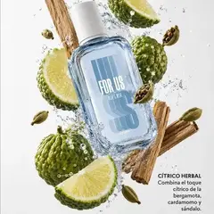Cyzone - Perfume For us blue and blue -