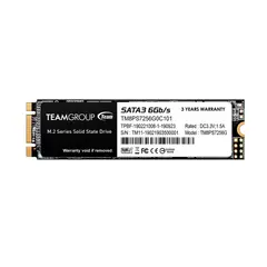TEAMGROUP - DISCO SÓLIDO INTERNO MS30 256GB M.2 P-N TM8PS7256G0C101
