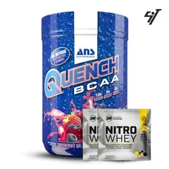 ANS PERFORMANCE - Aminoácidos Ans Quench Bcaa 100 Servicios Superfruit