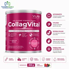 VLAB ESSENTIALS - Colágeno Hidrolizado COLLAGVITAL con Vitaminas, Zinc y Magnesio Sabor Frutos Rojos 450 g