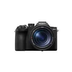 SONY - Camara Compacta DSC-RX10M5 con lente fijo 24-600mm