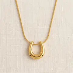 GENERICO - Collar de Acero Herradura Esencial