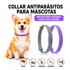 GENERICO - Pack De 6 Collares Antipulgas En Bolsa Para Perro Pequeño