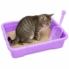 GENERICO - Bandeja sanitaria arenero de gato grande color lila con palita