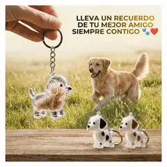 OEM - Llavero Recuerdo para Mascotas - Guarda el Pelito de tu Perrito, Pack x2