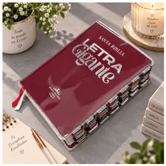 OEM - Biblia Reina Valera 1960 14 Puntos - Letra Gigante, Color Vino + Tabs y Forro Transparente