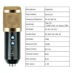 SEISA - Micrófono de Condensador Profesional USB de Estudio BM-858BP