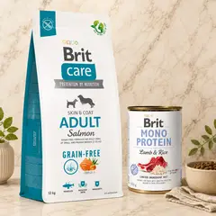 BRIT - GRAIN FREE SALMÓN MEDIUM ADULT 12 KG