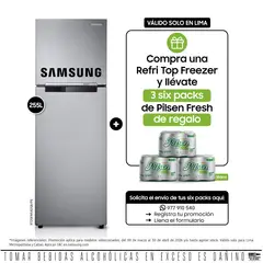 SAMSUNG - Refrigeradora Top Mount 255Lt RT25FARADS8 Silver.