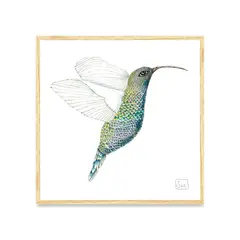 KUELGA - Cuadro Colibrí