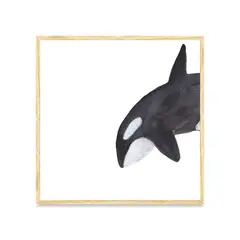 KUELGA - Cuadro Orca A