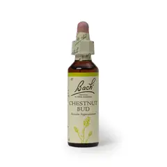 BACH - Chestnut Bud 20ml Aprendizaje
