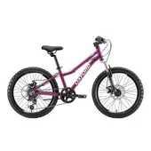 Bicicleta Infantil 6V Aro 20