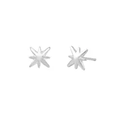 BALIQ - Arete Estrella Plata 925 Mujer