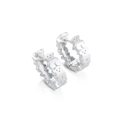 TOUS - Aretes Puppies de Plata