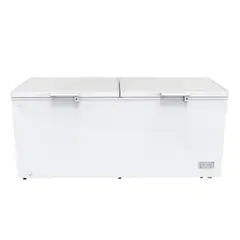 OSTER - Congeladora Os-pcfh22002we 509lt