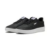 Puma Court Lally Urbana