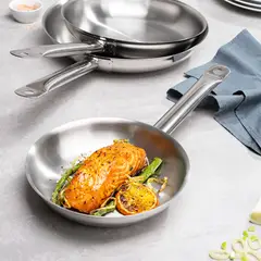 TRAMONTINA - Sartén Acero Inoxidable Professional 20 cm