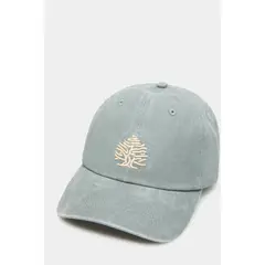 SPRINGFIELD - Gorra Casual Hombre