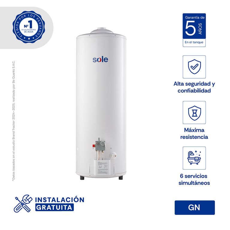 Termotanque Gn Tipo A 110l C/acc