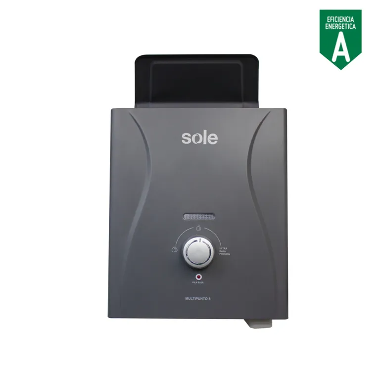 Calent. Inst. Gn Multipunto 8l C/ac