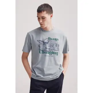 SPRINGFIELD - Polo 100% Algodón Casual Hombre