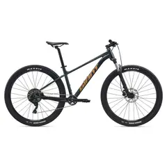 GIANT - Bicicleta Talon 2 Aro 29 S Asphalt Green