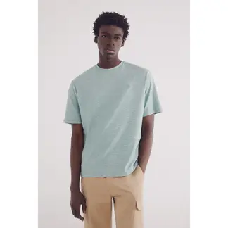 SPRINGFIELD - Polo Manga Corta 100% Algodón Hombre