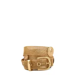 AMPHORA - Cinturón Leipzig Dorado