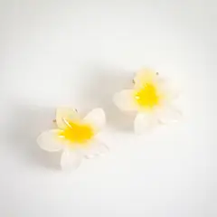 SYBILLA - Gancho Flor Hawaiana Mini X2 Mujer