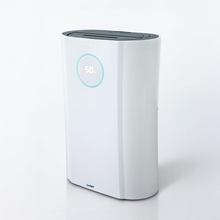 Deshumedecedor Y Purificador De Aire Ldg-6310