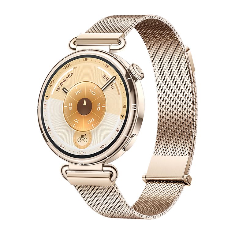 Watch Gt6 Gold 41mm