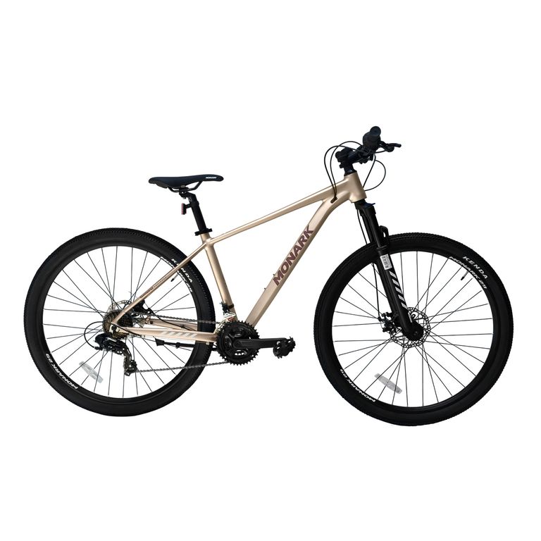 Bicicleta Montañera Canyon HTx Aluminio Aro 29