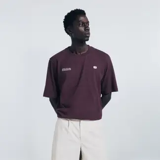 SPRINGFIELD - Polo 100% Algodón Casual Hombre