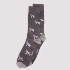 SPRINGFIELD - Medias Hombre