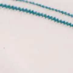 SPRINGFIELD - Medias Hombre