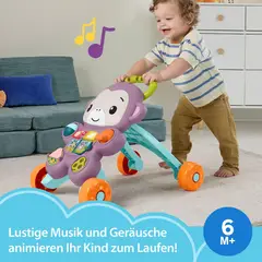 FISHER PRICE - Correpasillos Amigo Mono Para Bebés 6m+ Fisher-price