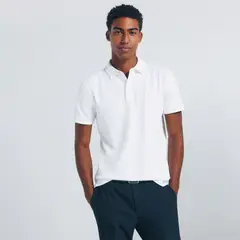 SPRINGFIELD - Polo 100% Algodón Regular Fit Hombre