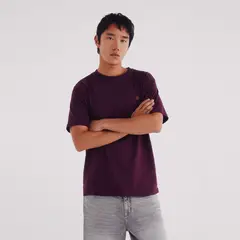 SPRINGFIELD - Polo 100% Algodón Regular Fit Hombre