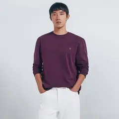 SPRINGFIELD - Polo 100% Algodón Regular Fit Hombre