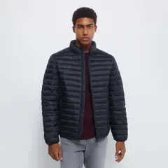 SPRINGFIELD - Casaca Hombre