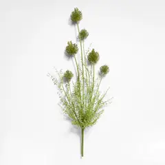 CRATE & BARREL - Rama Flor Melaleuca 97cm